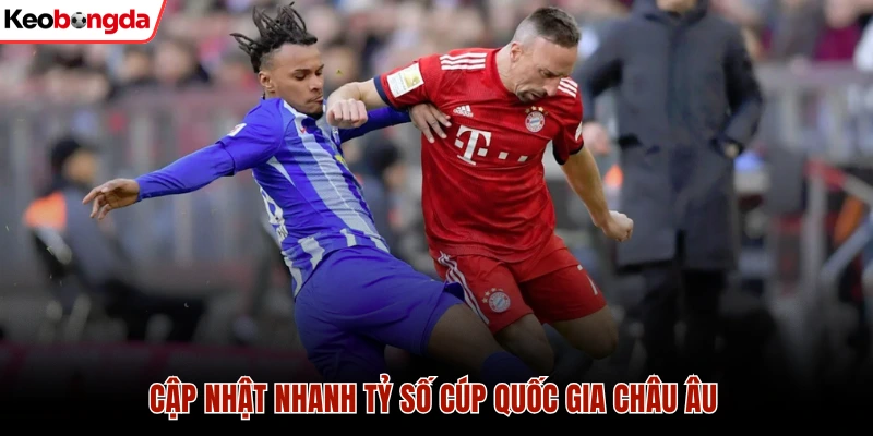Cập nhật nhanh tỷ số cúp quốc gia Châu Âu